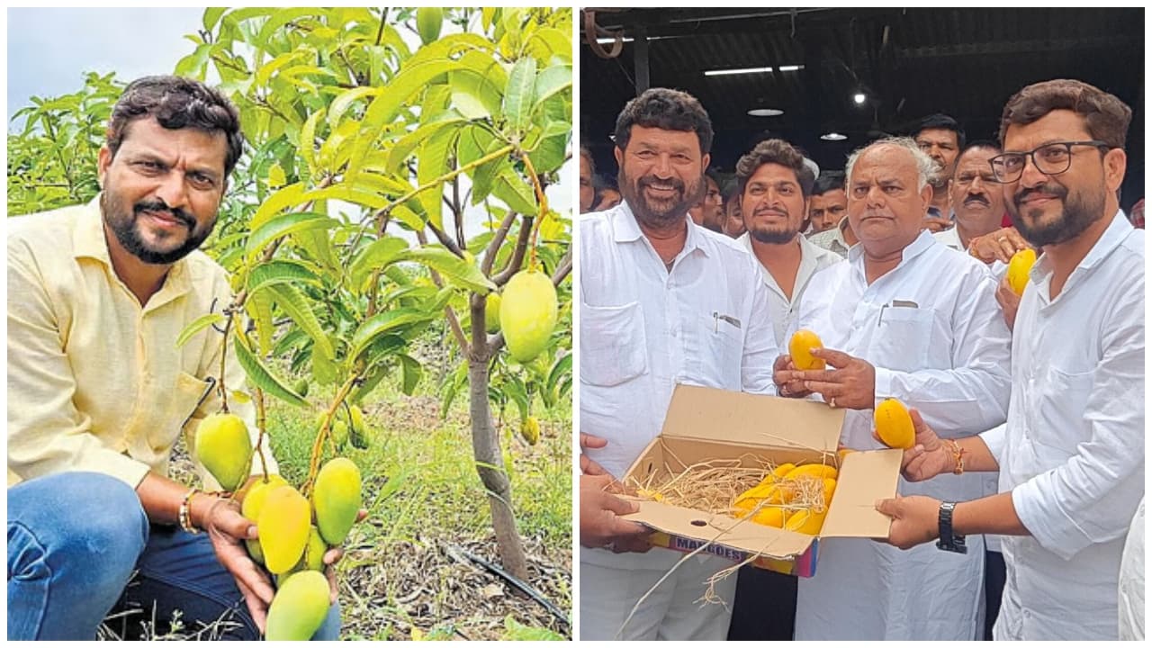 ಪದವೀಧರ ಯುವ ಪ್ರಗತಿಪರ ರೈತ ಪದವೀಧರ ಯುವ ಪ್ರಗತಿಪರ ರೈತ