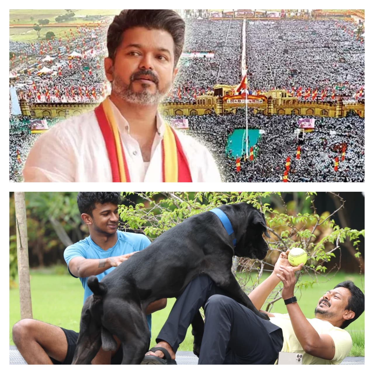 புதிய அரசியல் அலை 