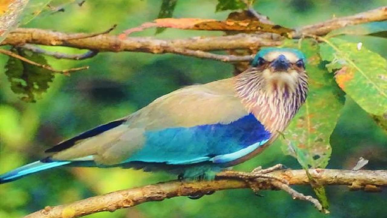 दसरा कधी आहे?