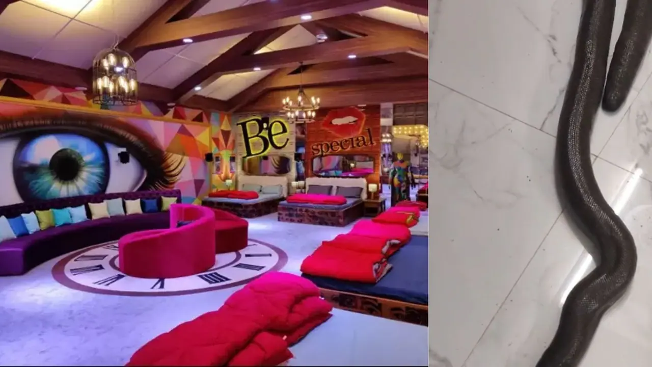 ಬಿಗ್ ಬಾಸ್ ಮನೆಗೆ ವಿಶೇಷ ಅತಿಥಿ ಬಿಗ್ ಬಾಸ್ ಮನೆಗೆ ವಿಶೇಷ ಅತಿಥಿ