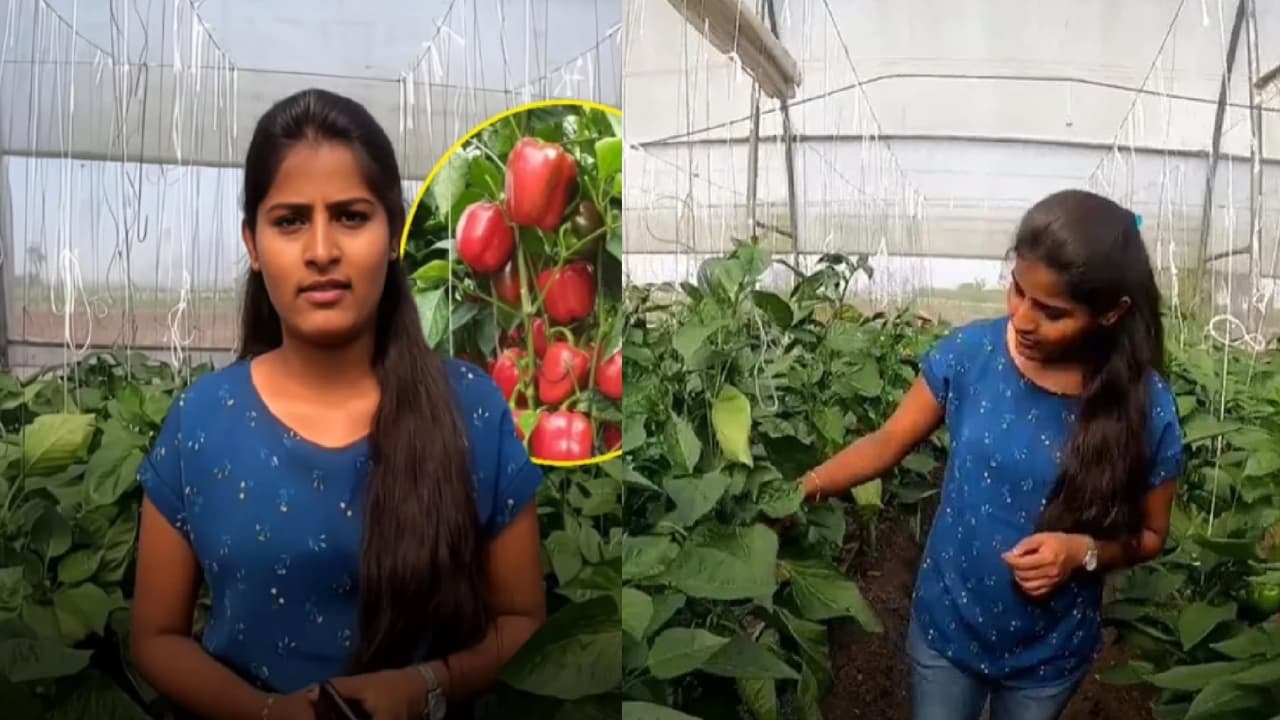 సొంతగడ్డ మీద పెద్ద విజయం