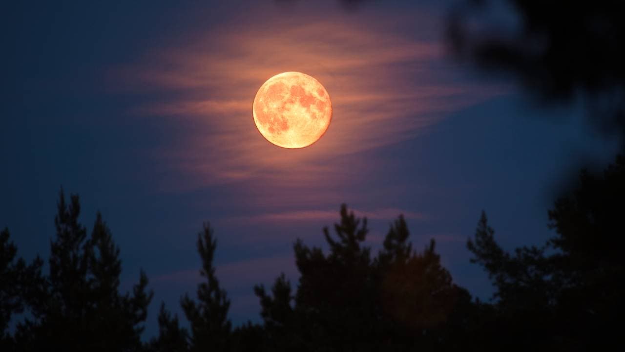 शरद पौर्णिमेचे व्रत आणि स्नान दान कधी करावे? शरद पौर्णिमेचे व्रत आणि स्नान दान कधी करावे?