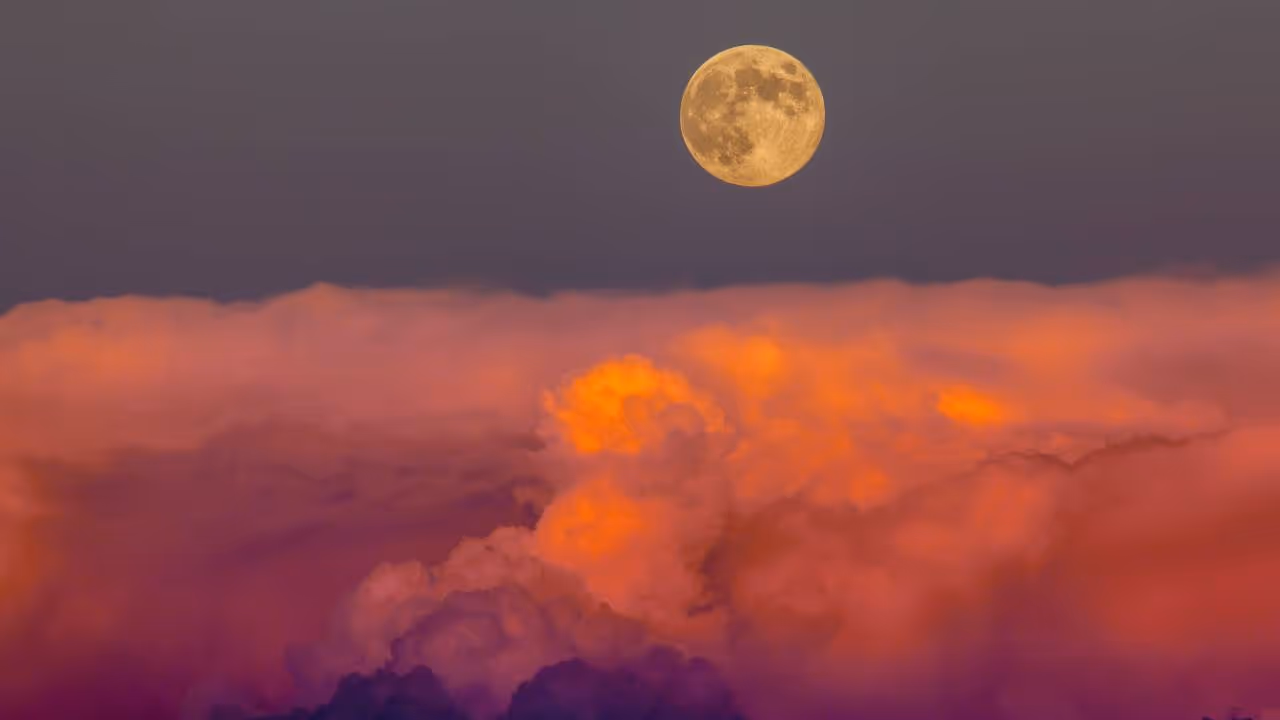 जानें शरद पूर्णिमा से जुड़ी रोचक बातें जानें शरद पूर्णिमा से जुड़ी रोचक बातें