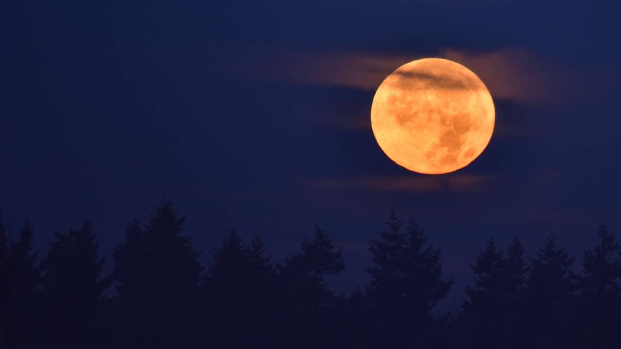 कोजागिरी पौर्णिमा 2025