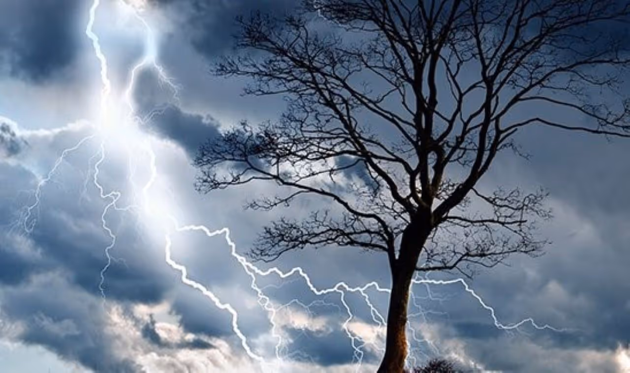 ఏపీలో పిడుగుపాట్లు...