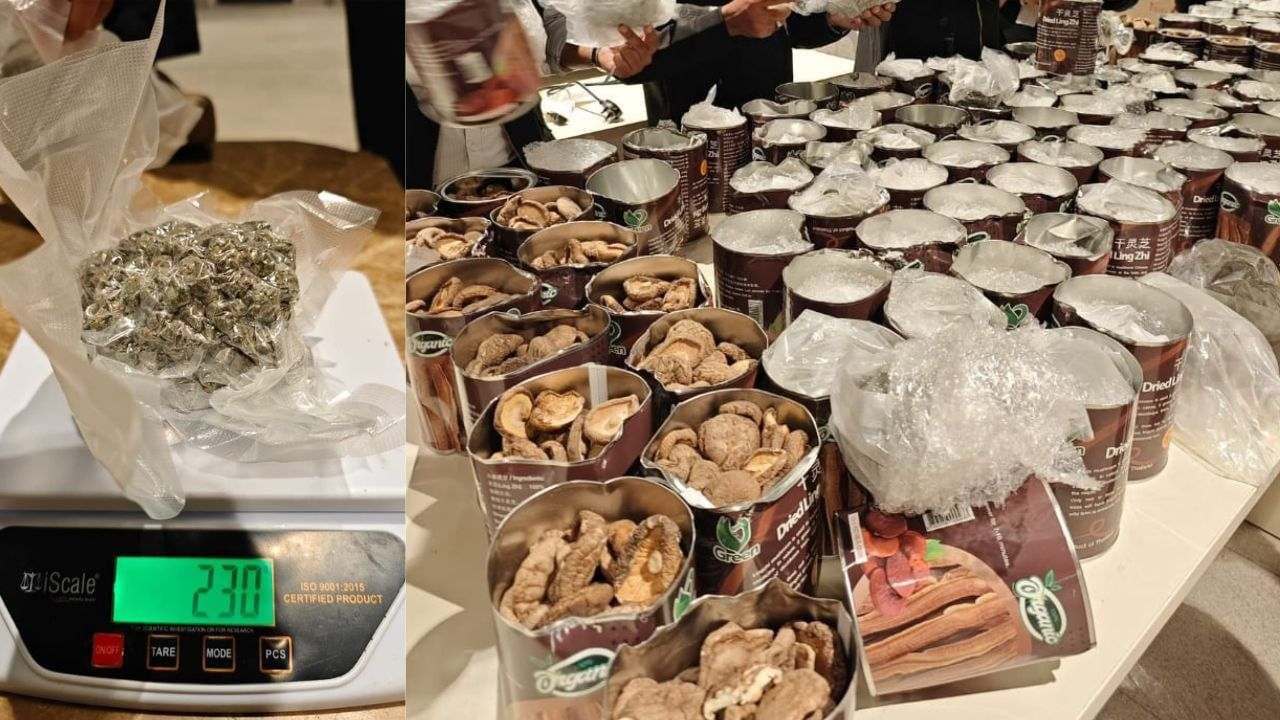 ₹50 ಕೋಟಿ ಮೌಲ್ಯದ ಮಾದಕ ವಸ್ತುಗಳ ವಶ