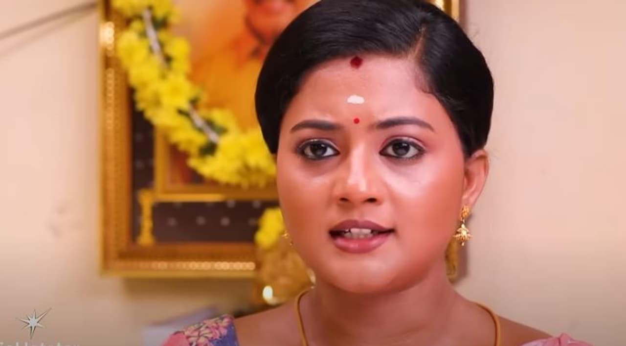 சிறகடிக்க ஆசை சீரியல்: