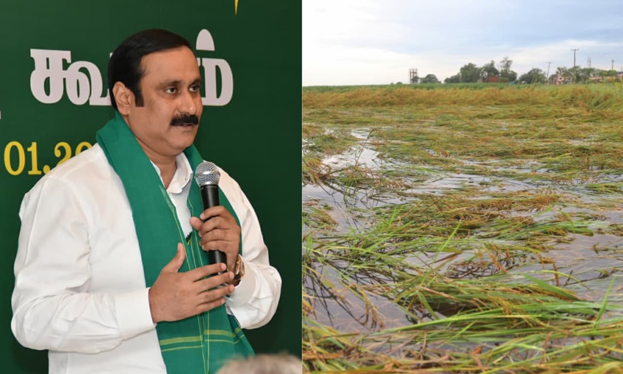 மழை நீரில் மூழ்கிய 2 லட்சம் ஏக்கர் விளை நிலம்