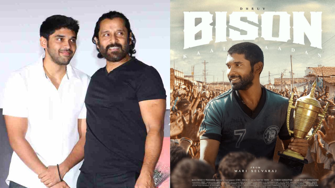 Bison Kaalamaadan Box Office Collection