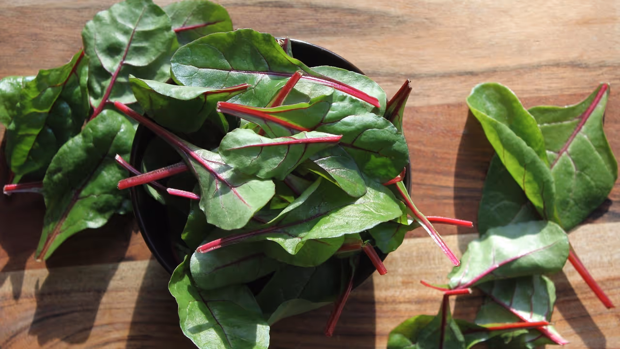 చలికాలంలో ఆకుకూరలు