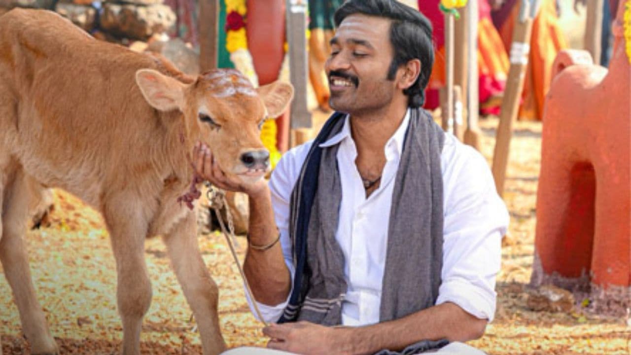 इडली कढ़ाई