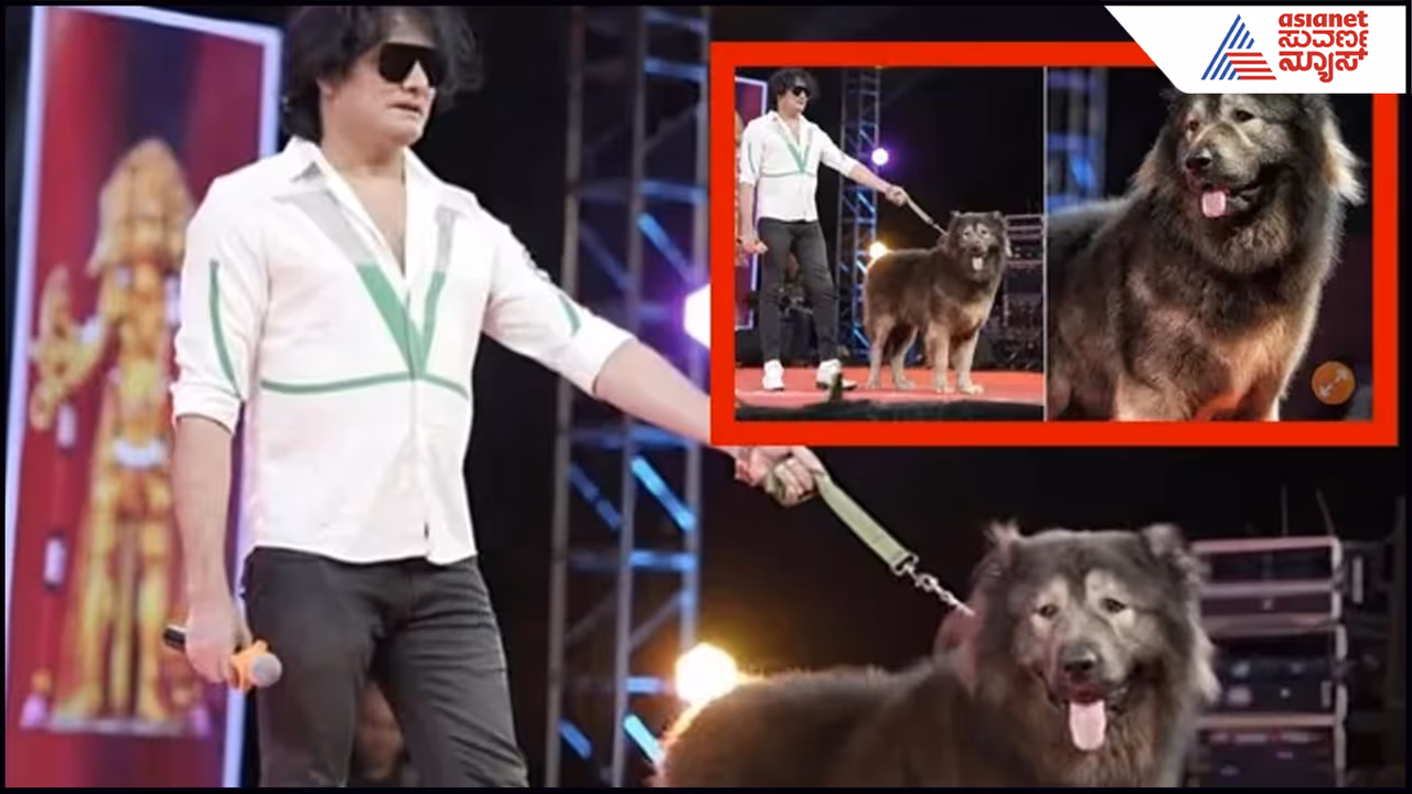 ಬಿಗ್ಬಾಸ್ ಡಾಗ್ ಸತೀಶ್ ಹವಾ ಬಿಗ್ಬಾಸ್ ಡಾಗ್ ಸತೀಶ್ ಹವಾ