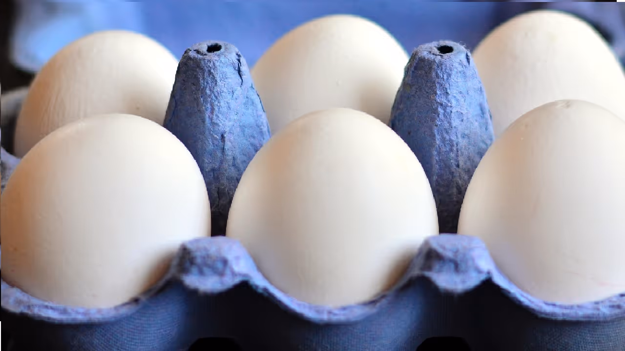 अंडी कुठे ठेवावीत? 