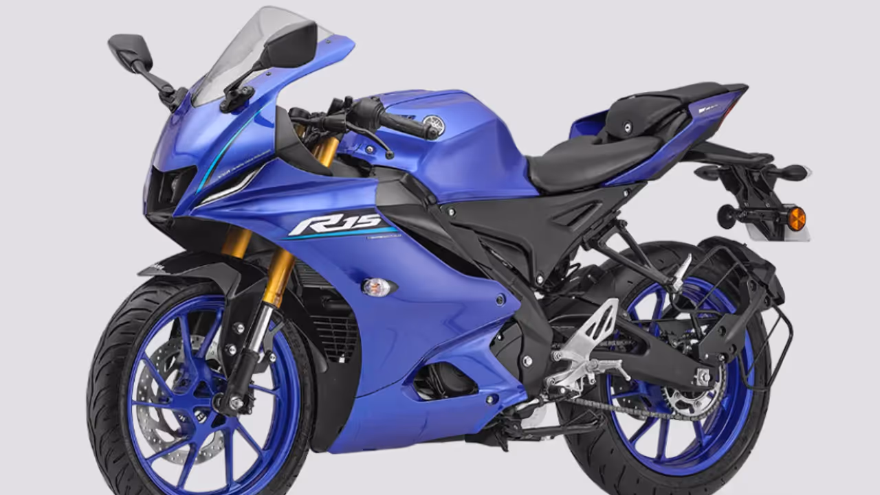 Bike's rear seat Bike's rear seat