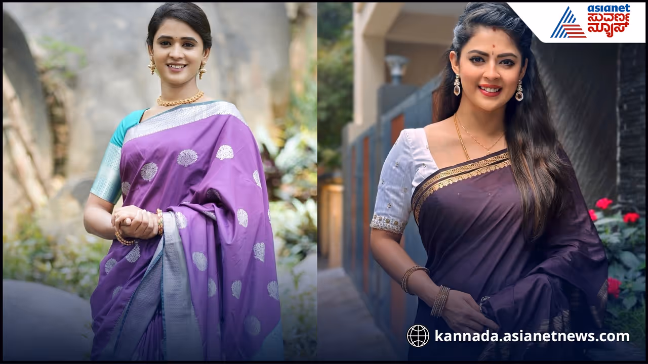 ಜೋಡಿ ಹಕ್ಕಿ ಧಾರಾವಾಹಿ ಜೋಡಿ ಹಕ್ಕಿ ಧಾರಾವಾಹಿ