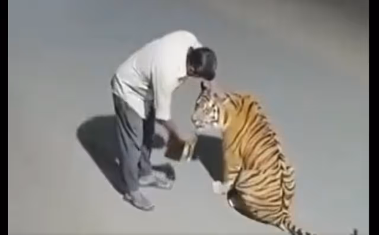 వైరల్ వీడియో నిజమేనా?