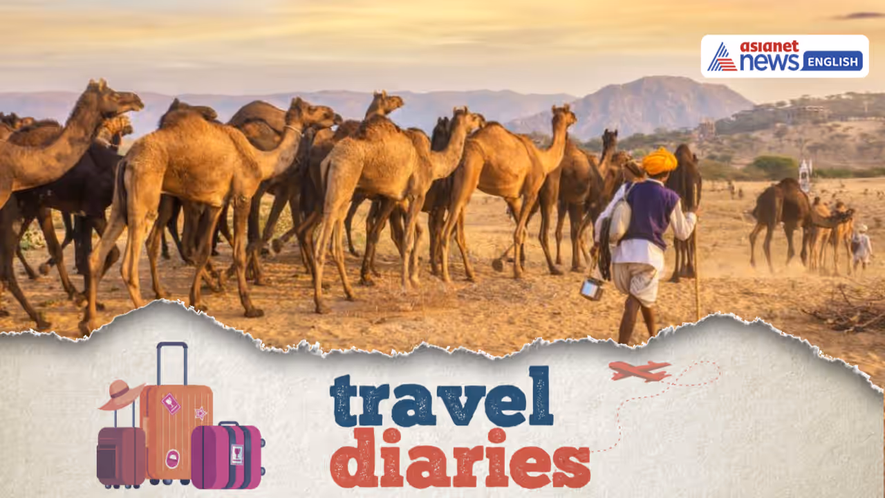 Pushkar: Where Spiritual Serenity Meets Desert Charm Pushkar: Where Spiritual Serenity Meets Desert Charm