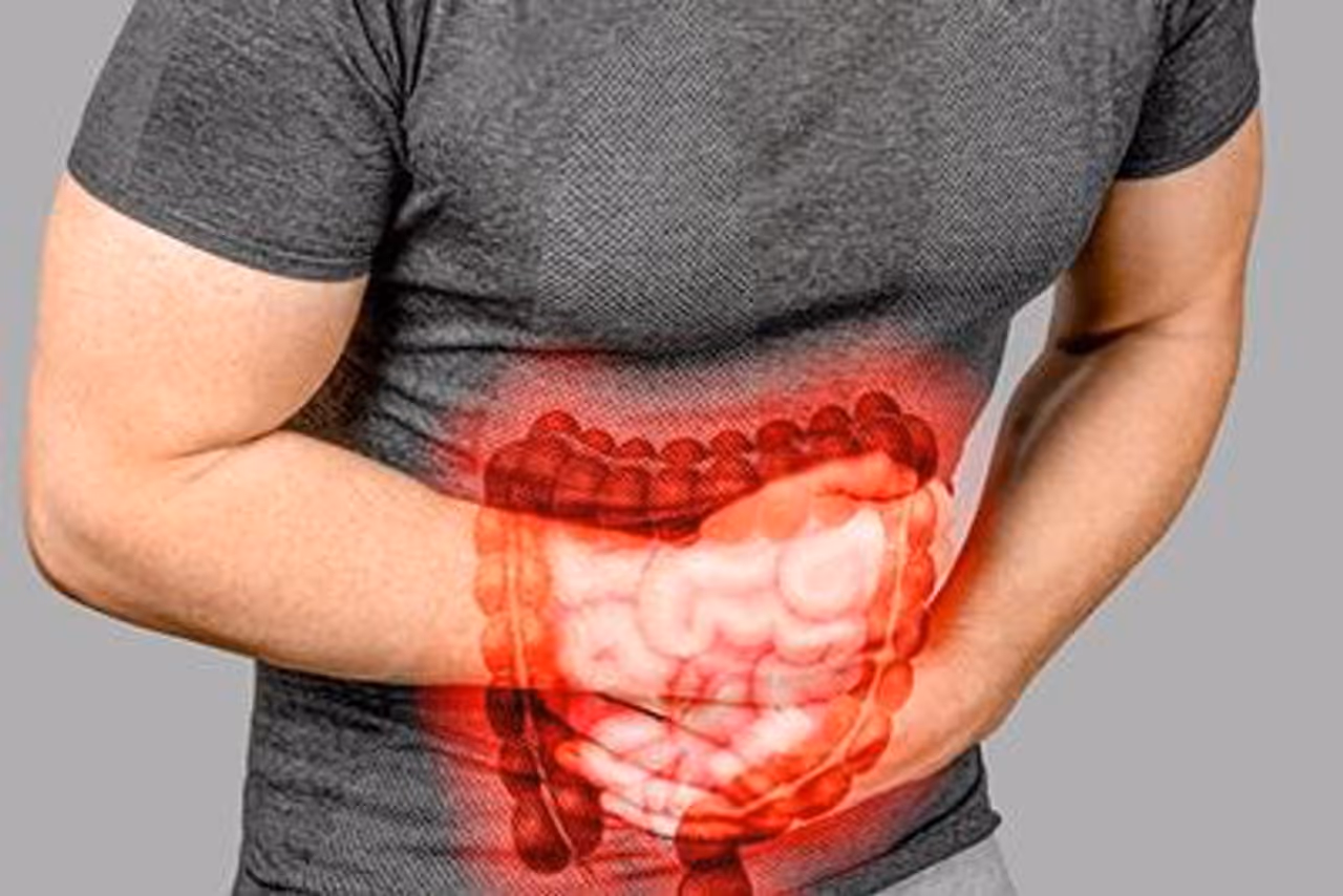 ഇറിറ്റബിള് ബവല് സിന്ഡ്രോം; ഡയറ്റില് ഉള്പ്പെടുത്താം ഈ ഭക്ഷണങ്ങള് ഇറിറ്റബിള് ബവല് സിന്ഡ്രോം; ഡയറ്റില് ഉള്പ്പെടുത്താം ഈ ഭക്ഷണങ്ങള്