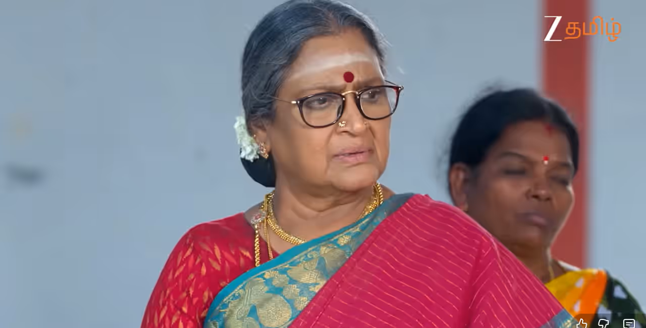 கார்த்திகை தீபம் 2 சீரியல்