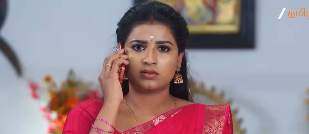 கார்த்திகை தீபம் 2 சீரியல்