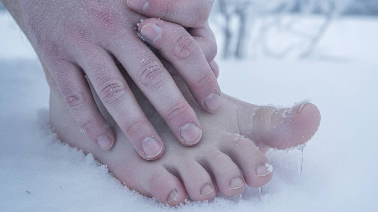 Winter Health Care Winter Health Care