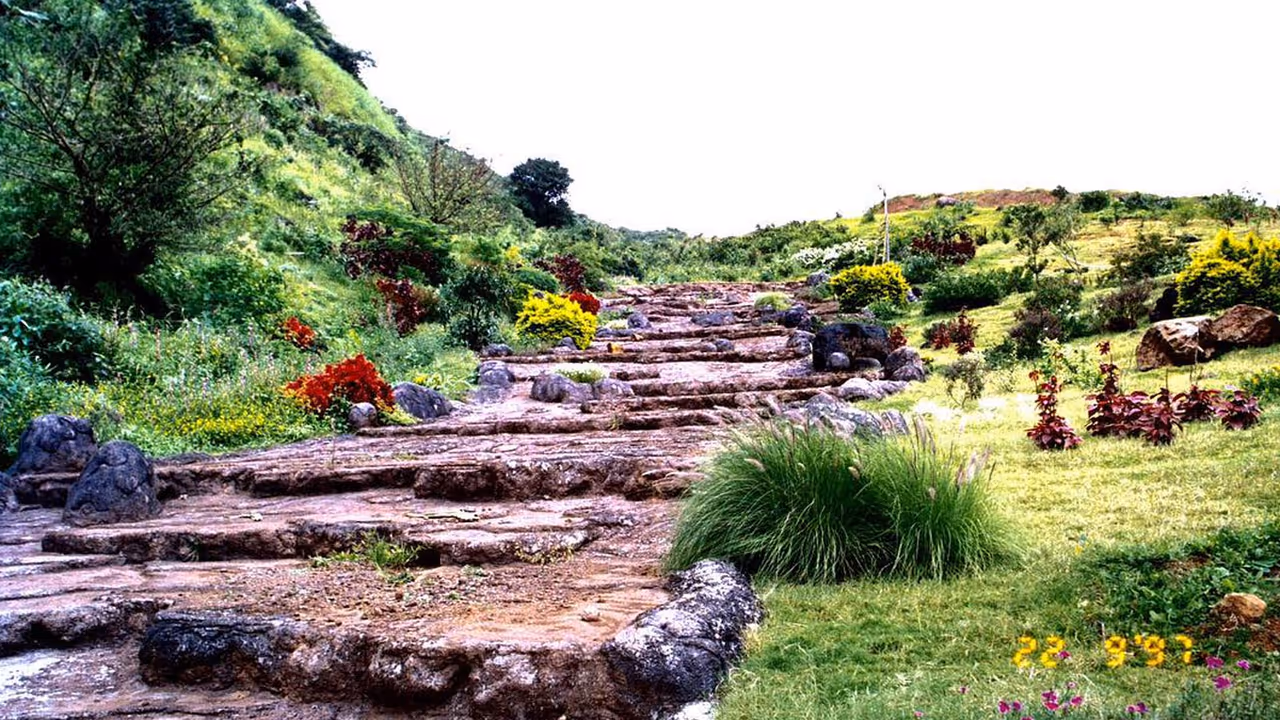 उन्हाळ्यात पुण्यापासून जवळच कुठं जाल फिरायला, जाणून घ्या माहिती उन्हाळ्यात पुण्यापासून जवळच कुठं जाल फिरायला, जाणून घ्या माहिती