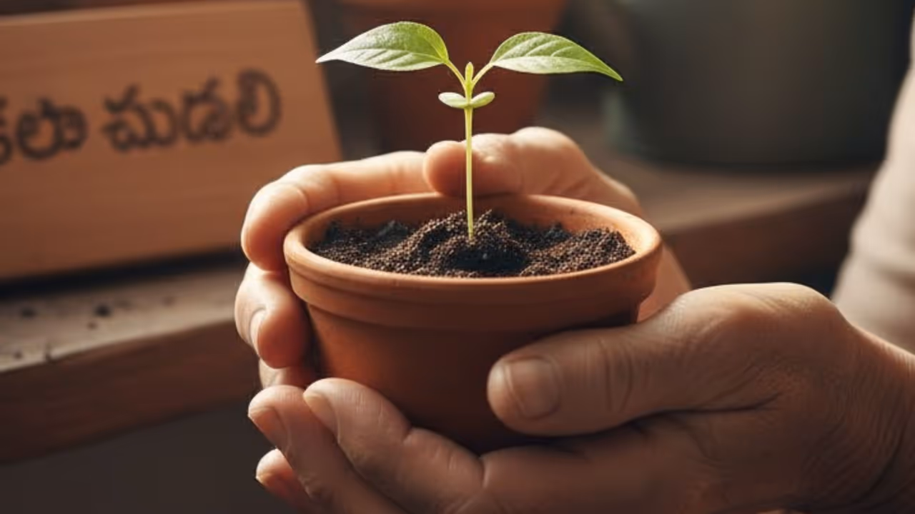 త్వ‌ర‌గా విజ‌యం రావాలి