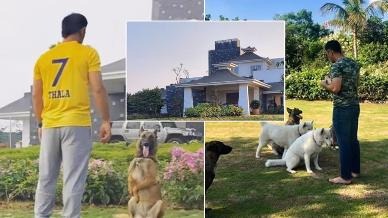 MS Dhoni Ranchi farmhouse MS Dhoni Ranchi farmhouse