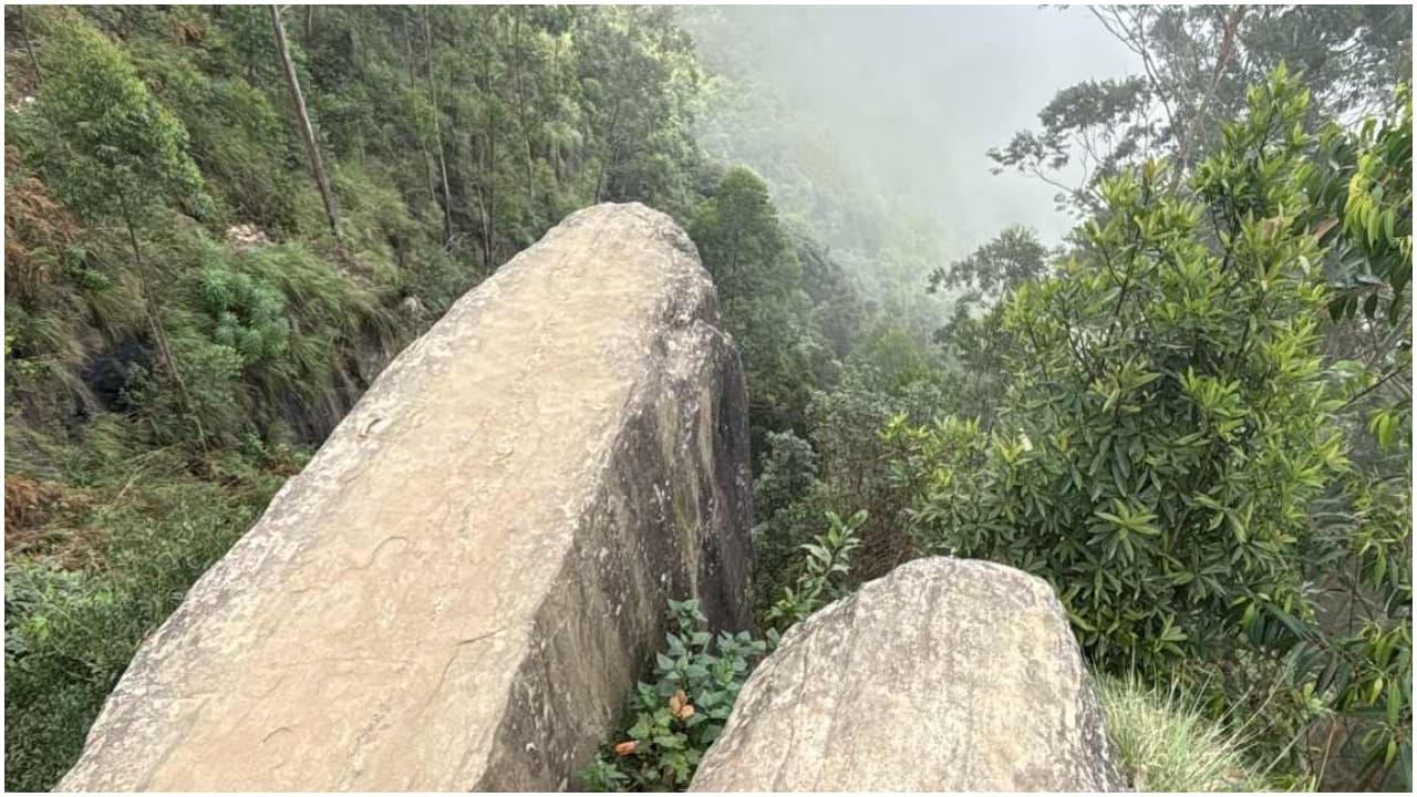 ഡോൾഫിന്റെ മൂക്ക് ഡോൾഫിന്റെ മൂക്ക്