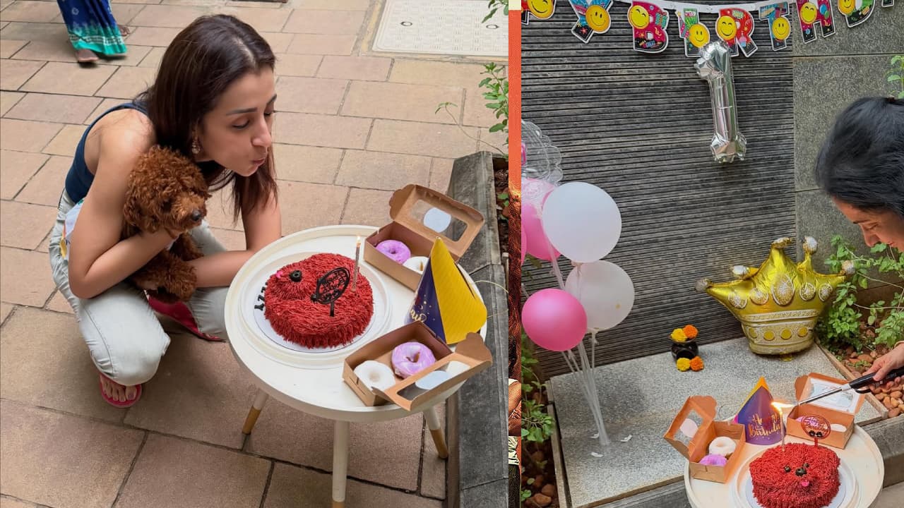 Trisha Pet Dog Birthday Trisha Pet Dog Birthday