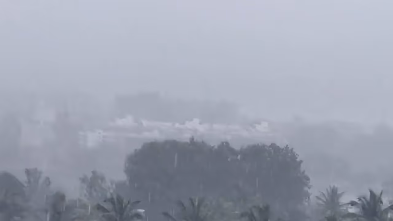 Bengaluru Weather Forecast: Rain Likely on November 21