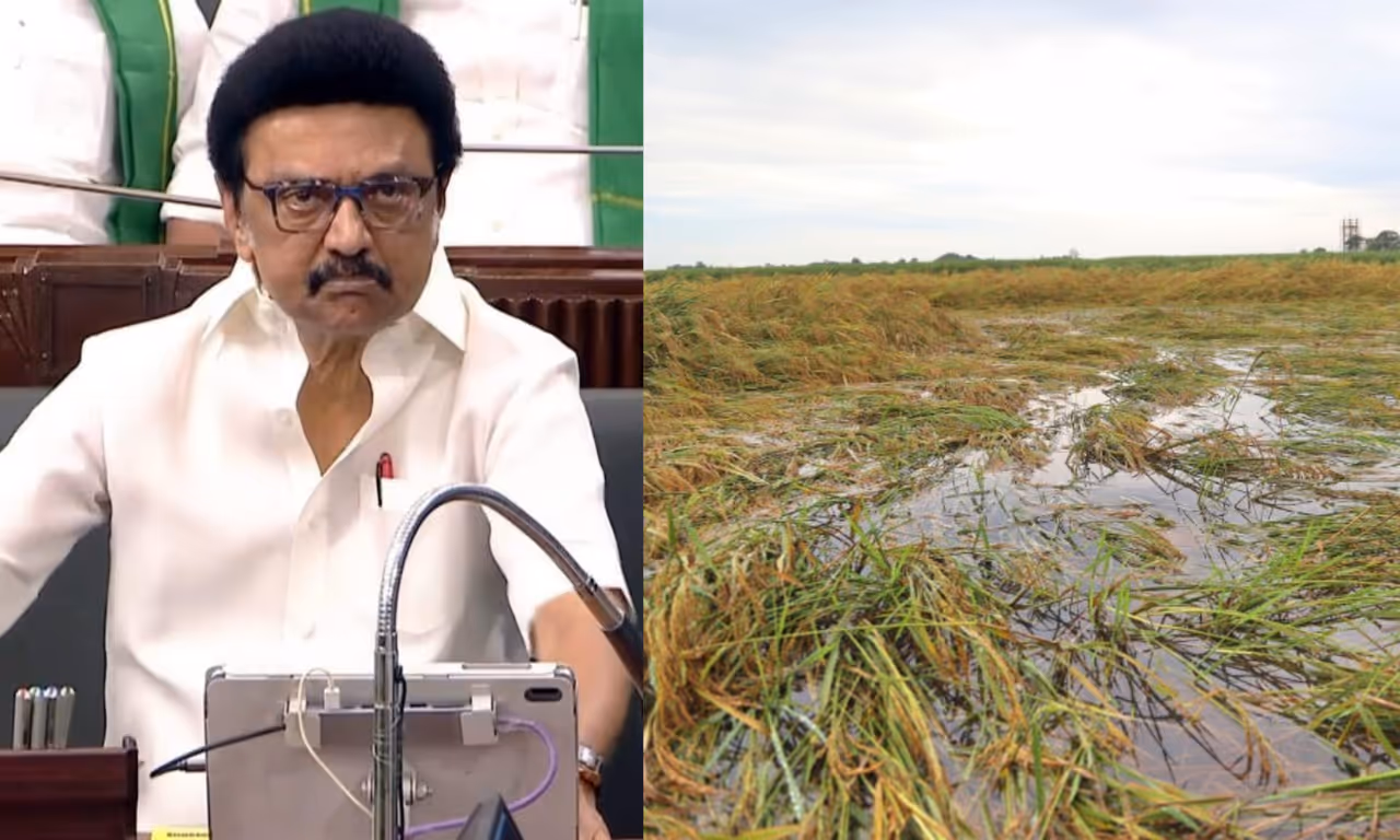 தமிழக அரசின் கோரிக்கையை நிராகரித்த மத்திய அரசு