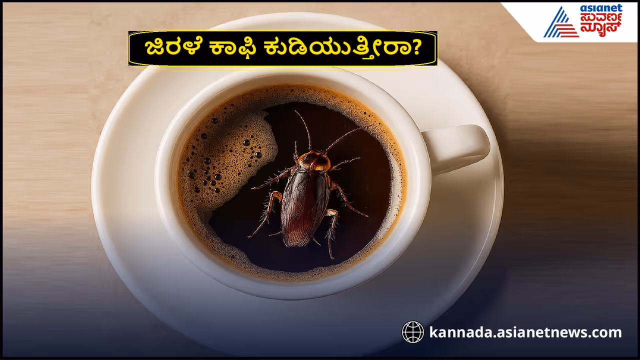 ಜಿರಳೆ ಕಾಫಿ