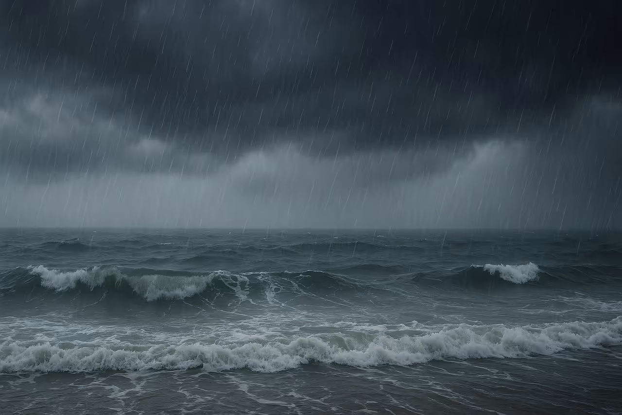 வங்கக்கடலில் டிட்வா புயல்