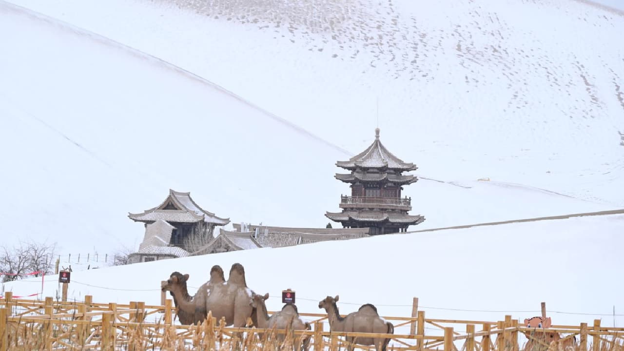 हिवाळ्यात घर उबदार ठेवण्यासाठी काय करावं, मिनी हिटरने दाखवली कमाल 