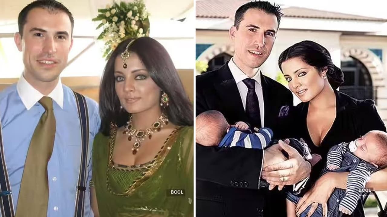 Celina Jaitly domestic violence case