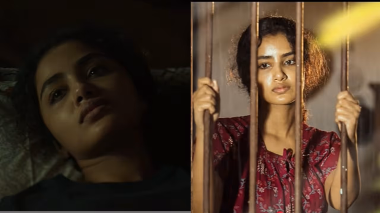 Theatre and OTT Release Movies on December 12 Theatre and OTT Release Movies on December 12