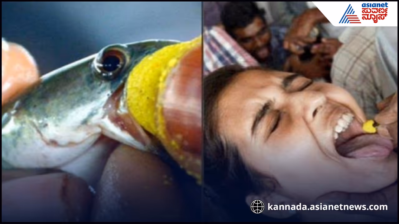 ಅಸ್ತಮಾ ಸಮಸ್ಯೆ