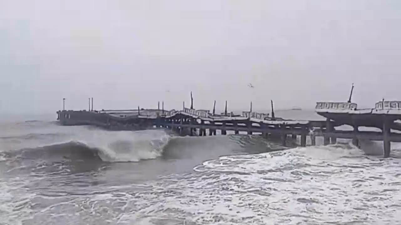  কলকাতায় শীতের আমেজ