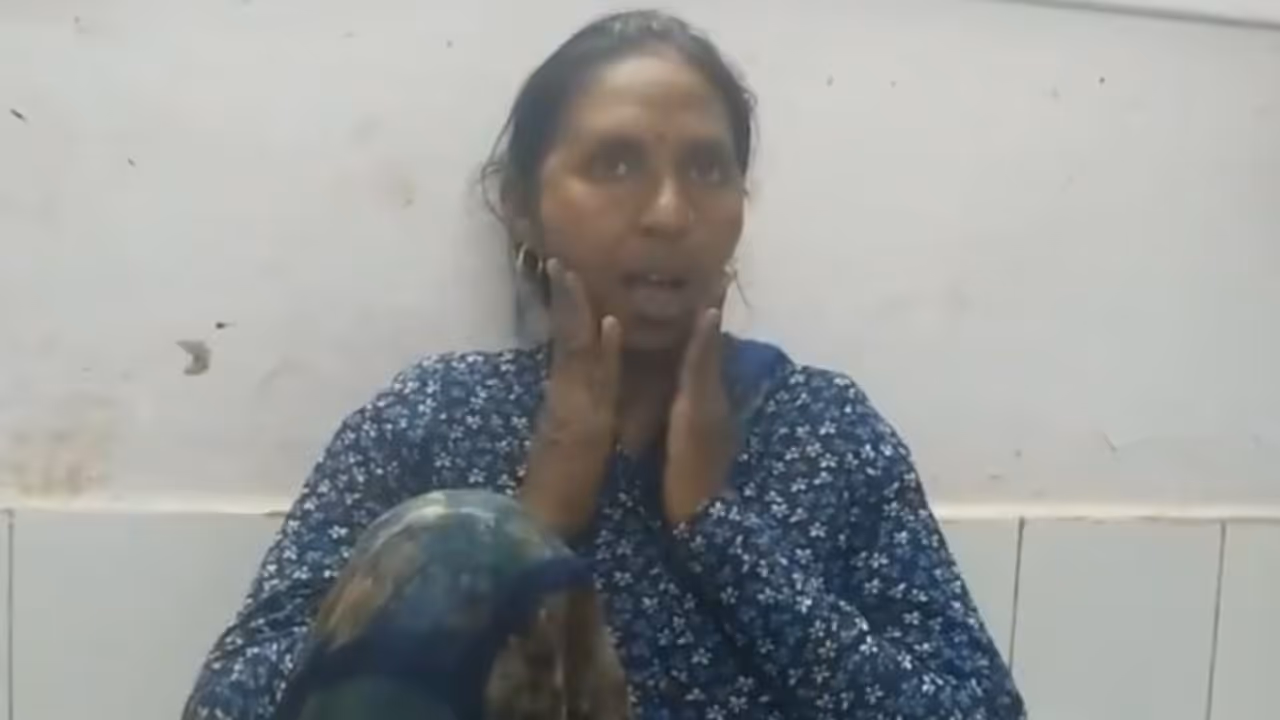 ശീലം തെറ്റാതെ തെരുവോര ഭക്ഷണം കഴിക്കാനെത്തി, അപ്രതീക്ഷിത സംഭവം ശീലം തെറ്റാതെ തെരുവോര ഭക്ഷണം കഴിക്കാനെത്തി, അപ്രതീക്ഷിത സംഭവം