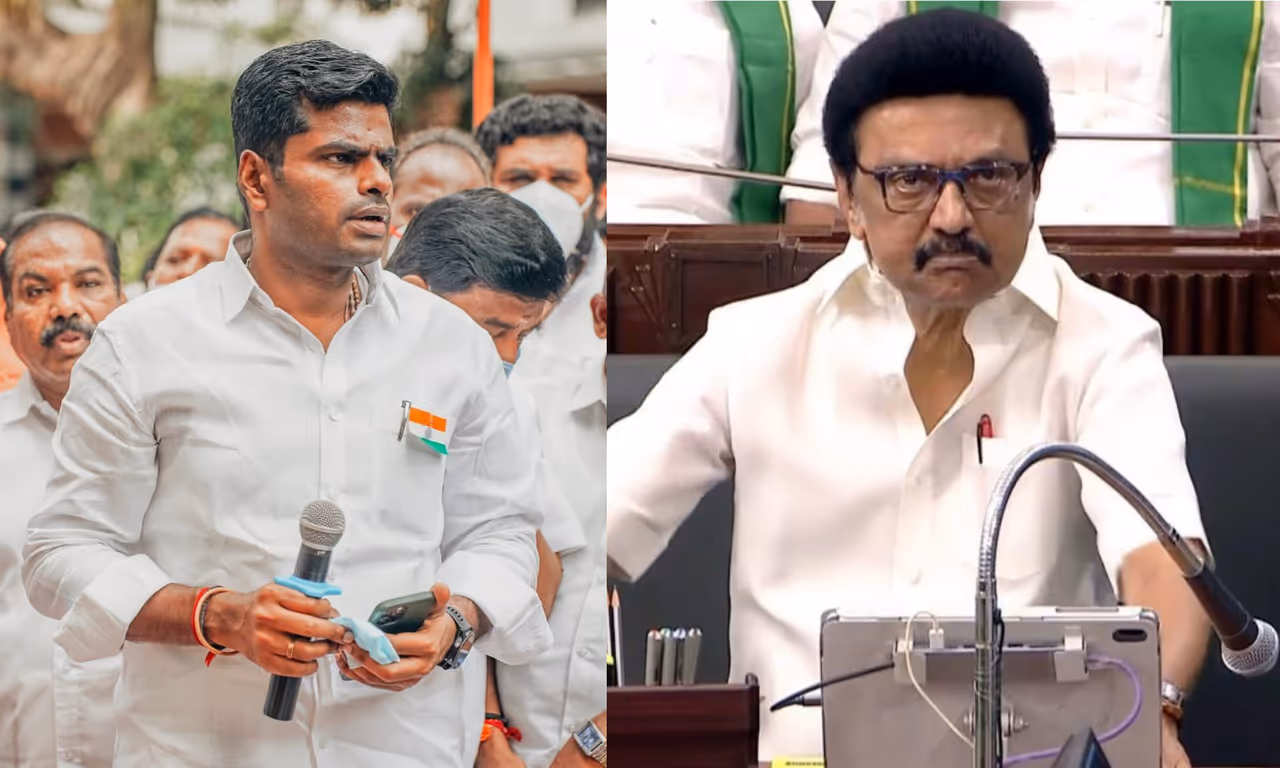 மாநில தலைவராக அண்ணாமலையின் செயல்பாடு