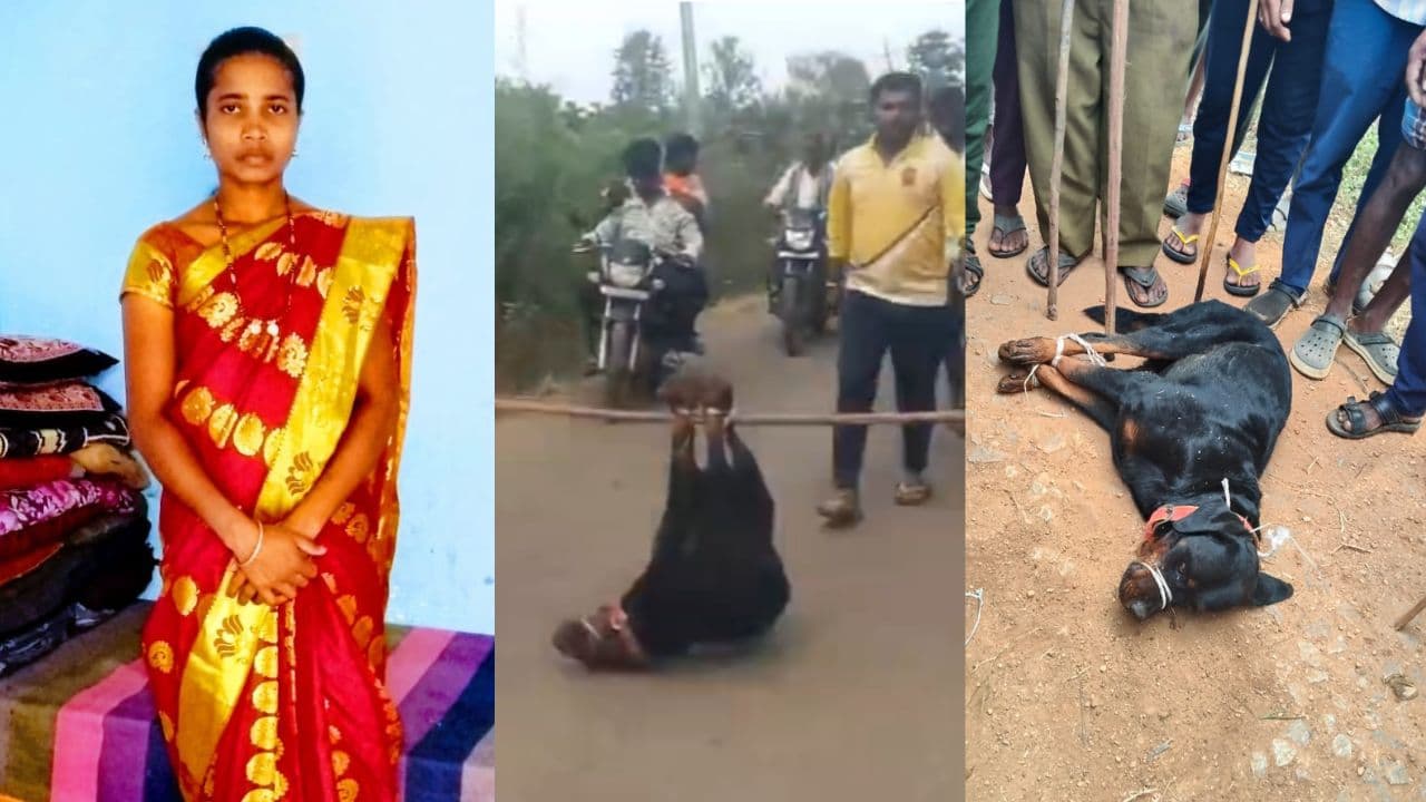 ರಾಟ್‌ವೀಲರ್ ನಾಯಿಗಳ ದಾಳಿಗೆ ಮಹಿಳೆ ದುರ್ಮರಣ