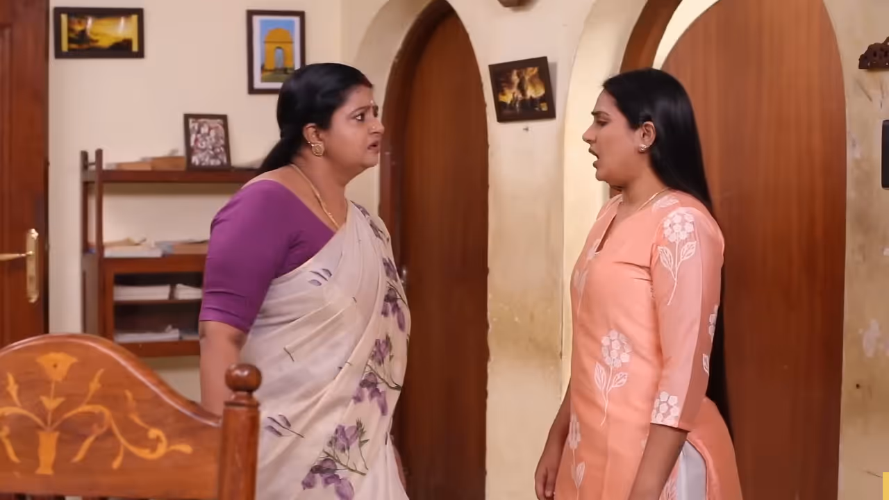 சிறகடிக்க ஆசை தொடர்: சிறகடிக்க ஆசை தொடர்: