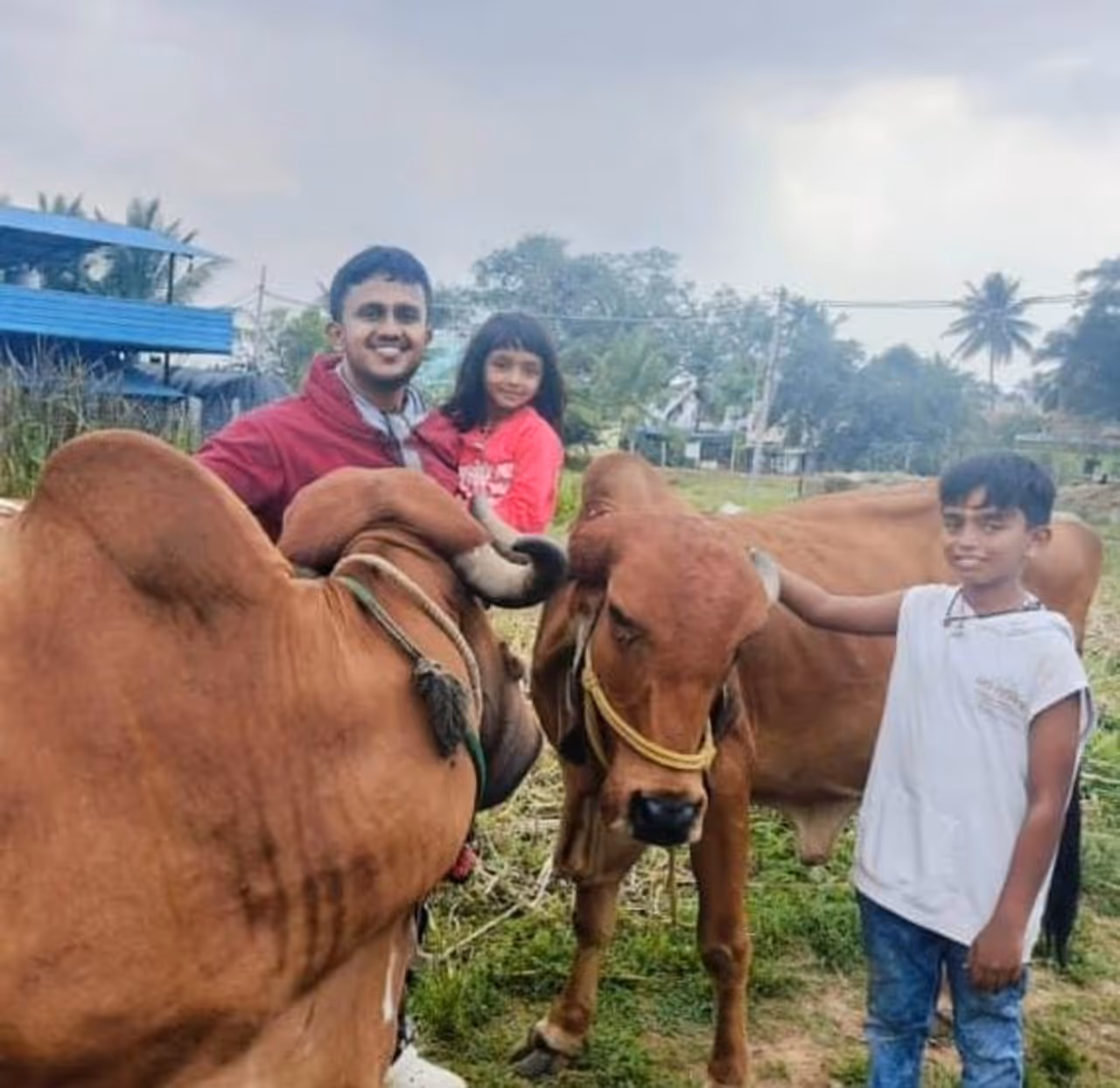 ಗುಜರಾತಿನ ಗಿರ್ ತಳಿಯ ಹಸು ಕಳ್ಳತನ