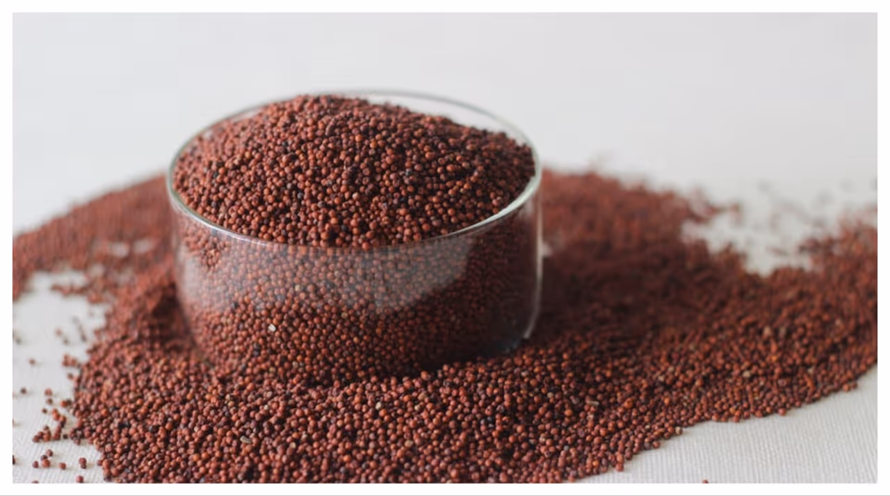 റാഗി റാഗി