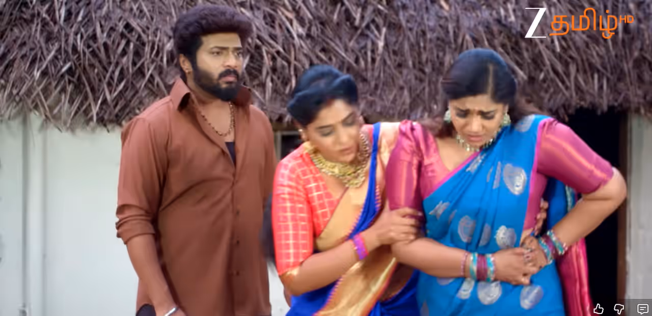 கார்த்திகை தீபம் சீரியல்: சந்திரகலா நாடகம் கார்த்திகை தீபம் சீரியல்: சந்திரகலா நாடகம்