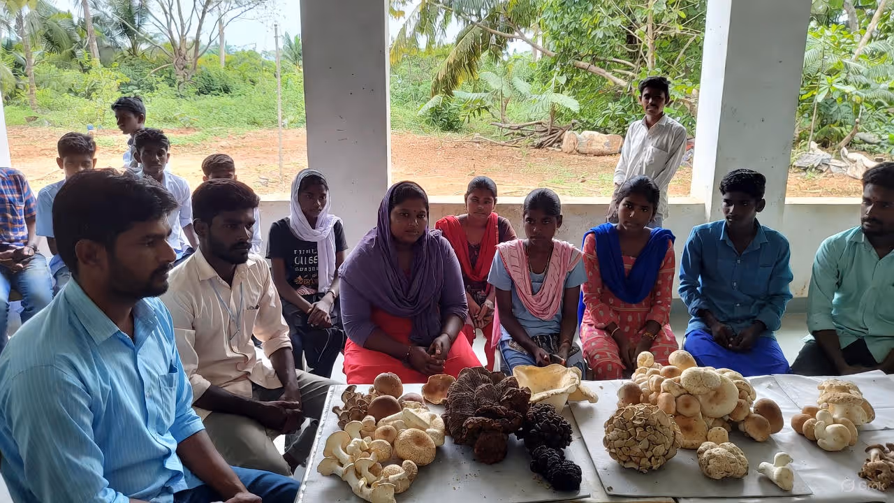 காளான் தொழில் – குறைந்த முதலீட்டில் அதிக லாபம் காளான் தொழில் – குறைந்த முதலீட்டில் அதிக லாபம்