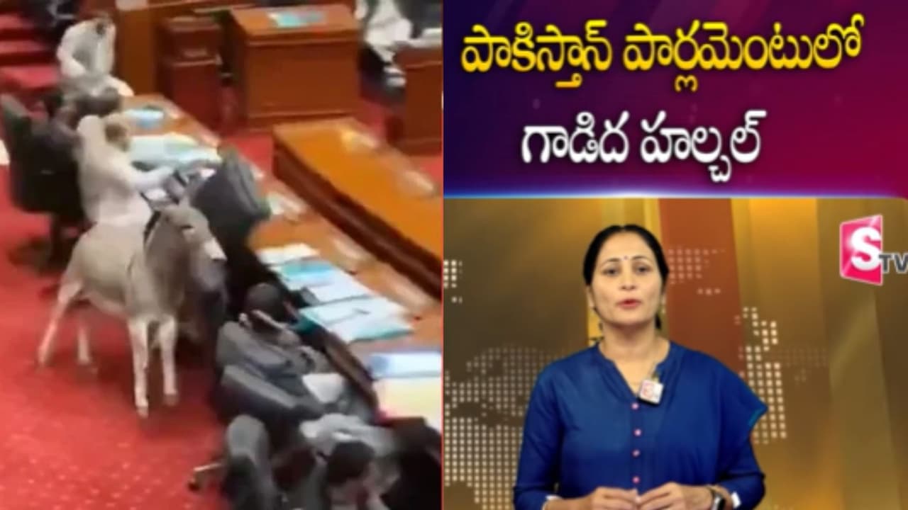 పార్లమెంట్లోకి గాడిద వచ్చిందంటూ.. పార్లమెంట్లోకి గాడిద వచ్చిందంటూ..