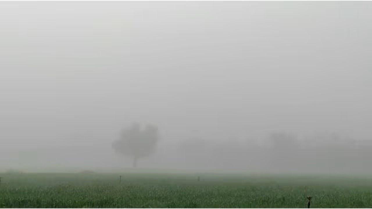 Lucknow Weather Today 19th December Lucknow Weather Today 19th December