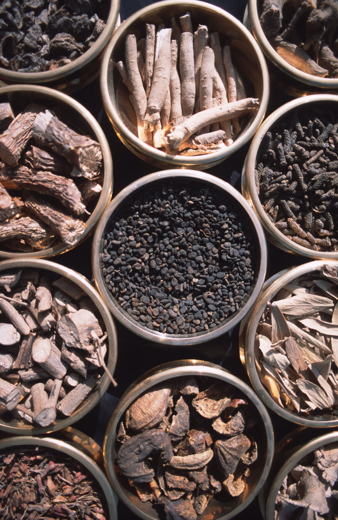 Regulate traditional medicine Regulate traditional medicine